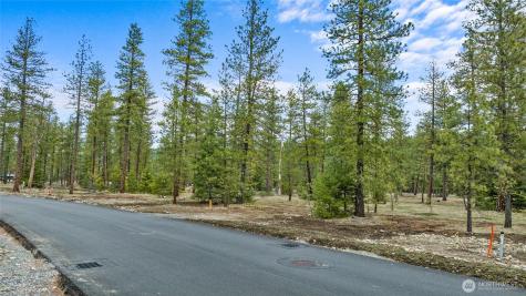 25 Wanawish Loop Cle Elum WA 98922