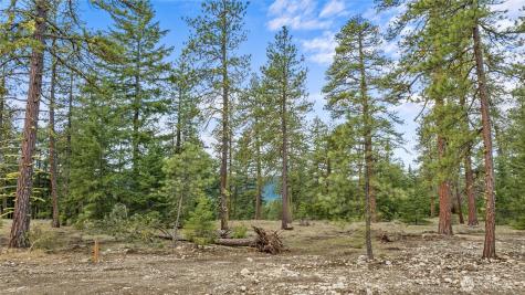 25 Wanawish Loop Cle Elum WA 98922