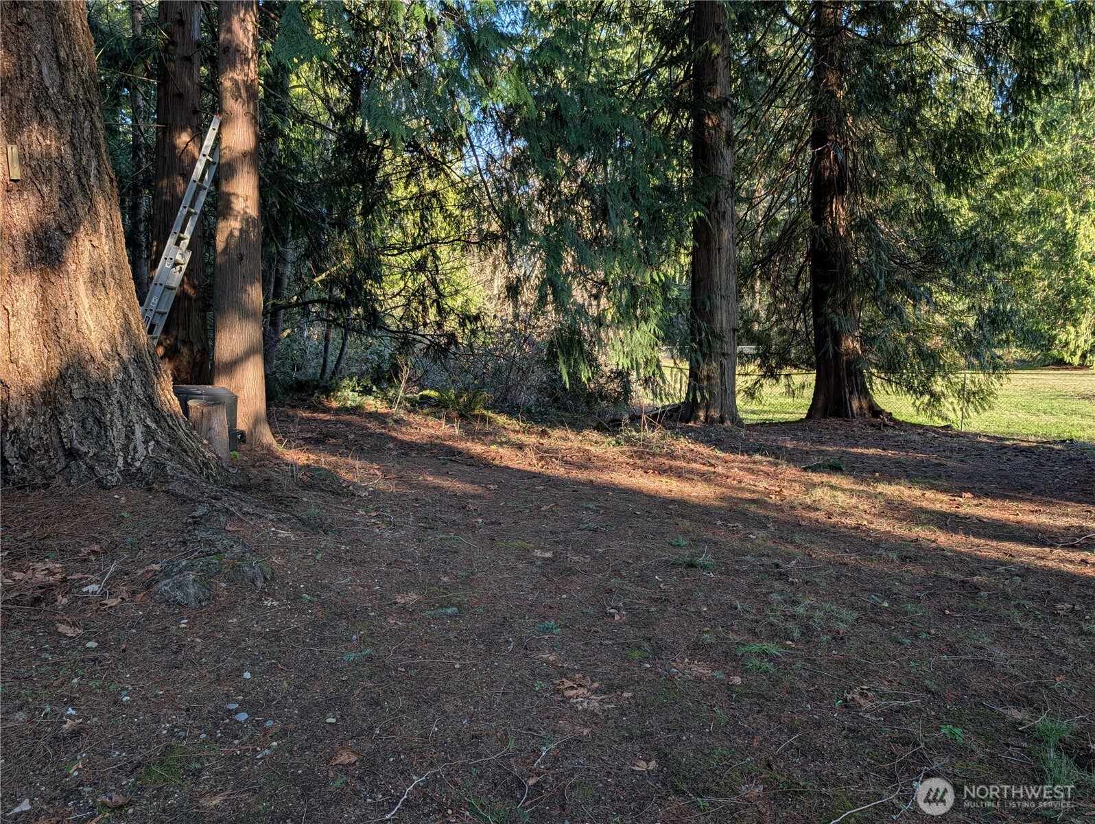12105 25th Avenue SE Everett WA 98208
