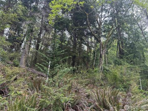11 Shore Indianola WA 98342