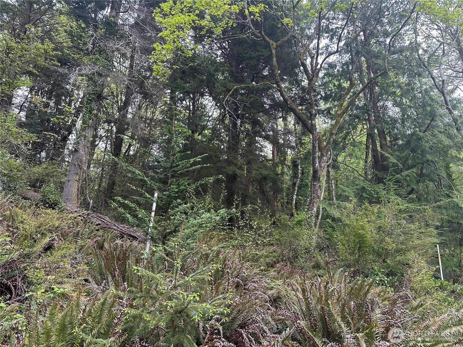 11 NE Shore Drive Indianola WA 98342