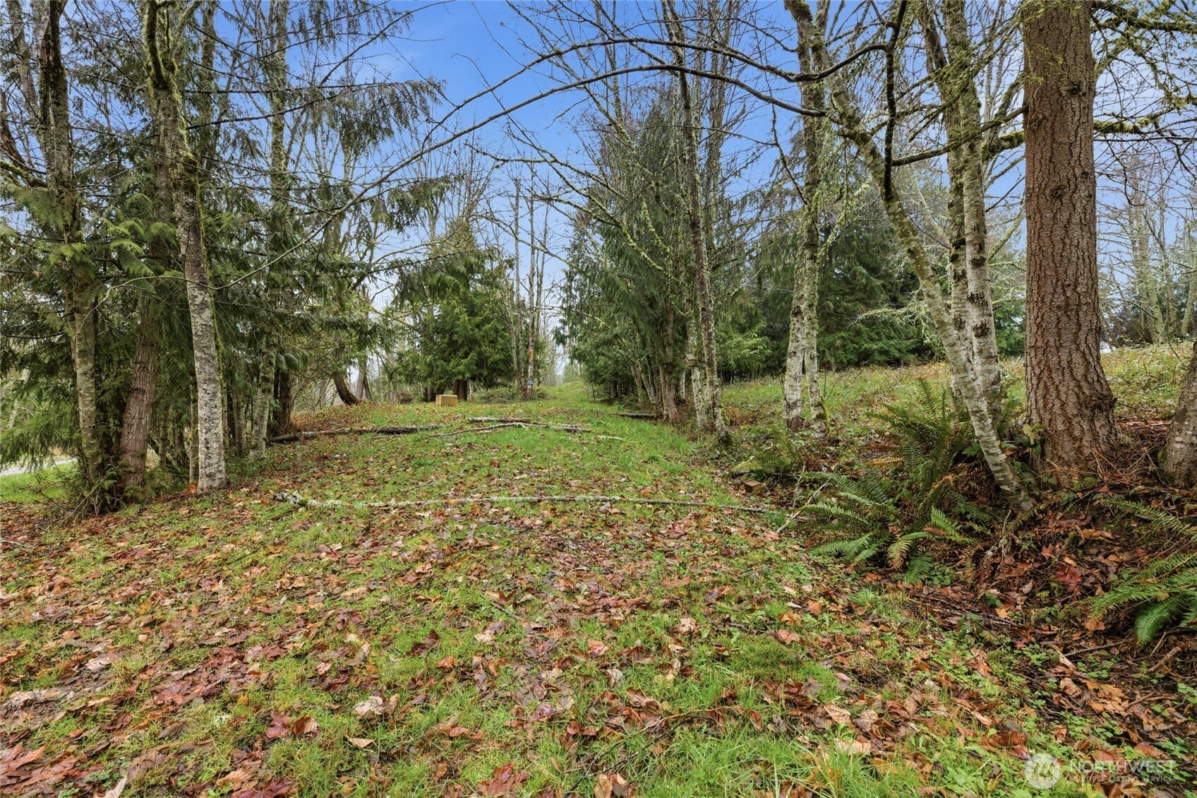 0 Wesner Street Buckley WA 98321