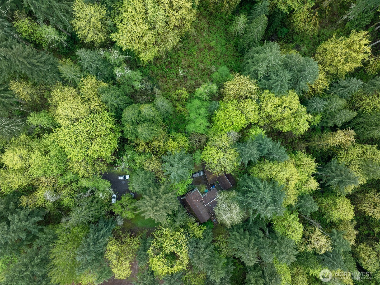 611 208th Avenue SE Sammamish WA 98074