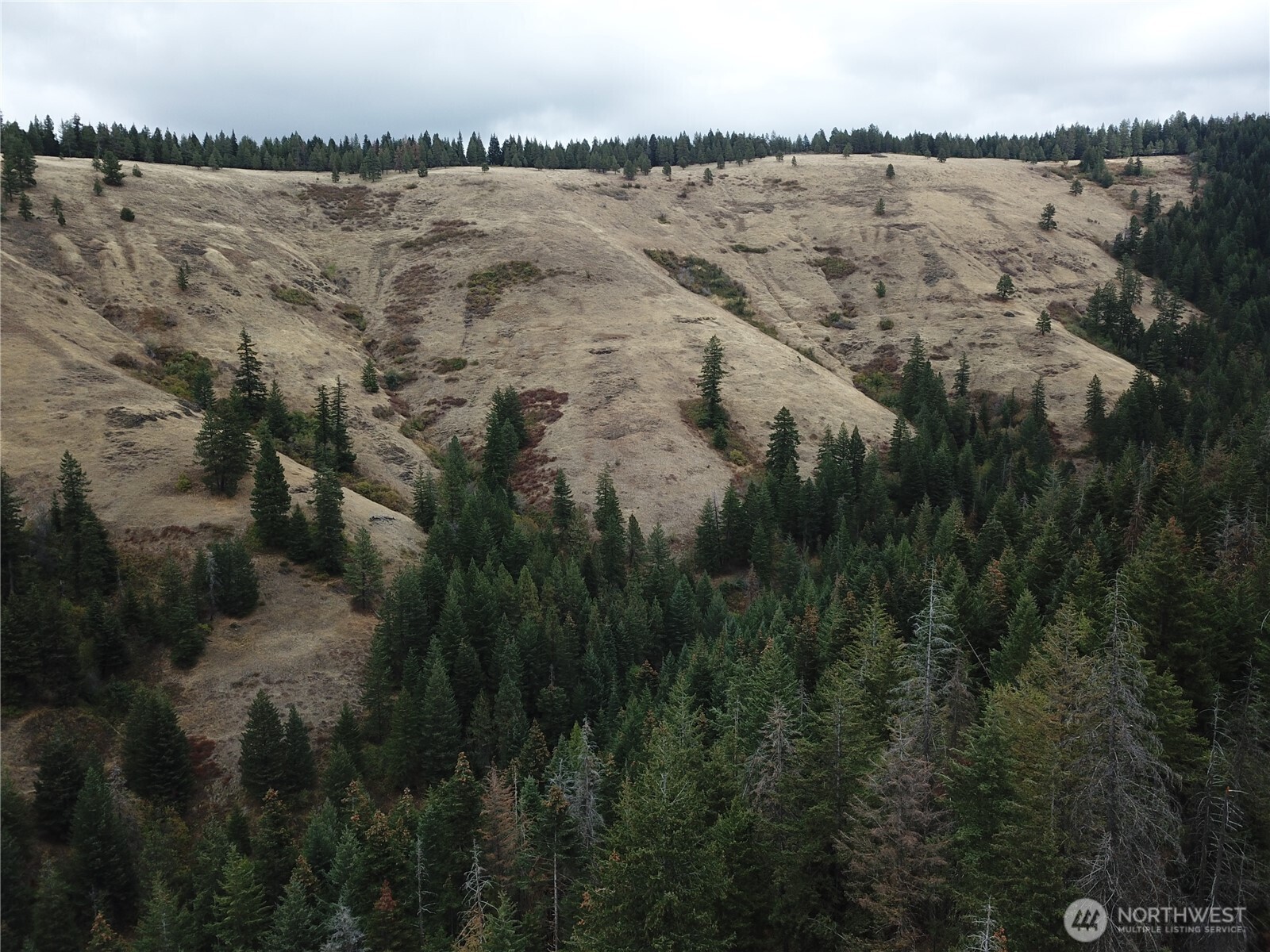 30 Acres Off Biscuit Ridge Waitsburg WA 99361