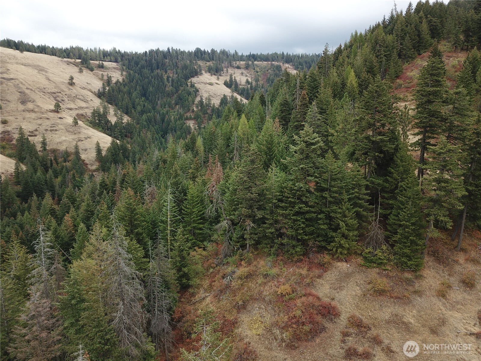 30 Acres Off Biscuit Ridge Waitsburg WA 99361
