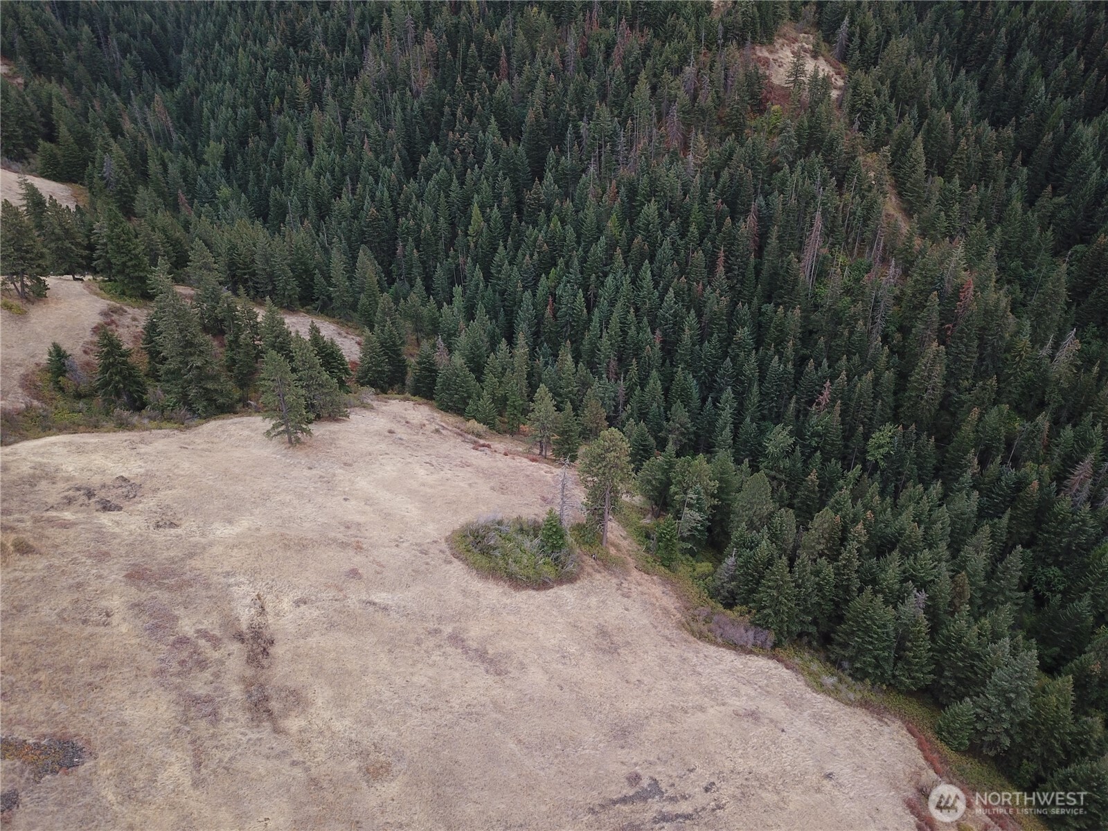30 Acres Off Biscuit Ridge Waitsburg WA 99361
