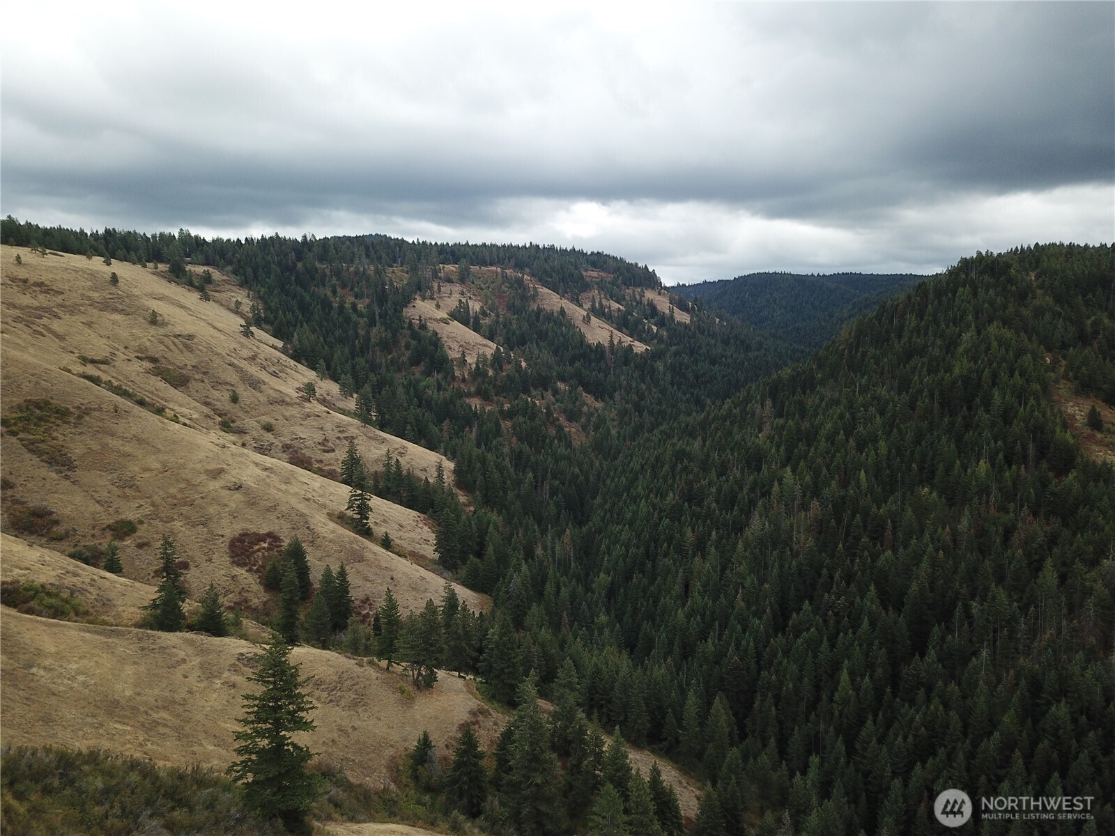 30 Acres Off Biscuit Ridge Waitsburg WA 99361
