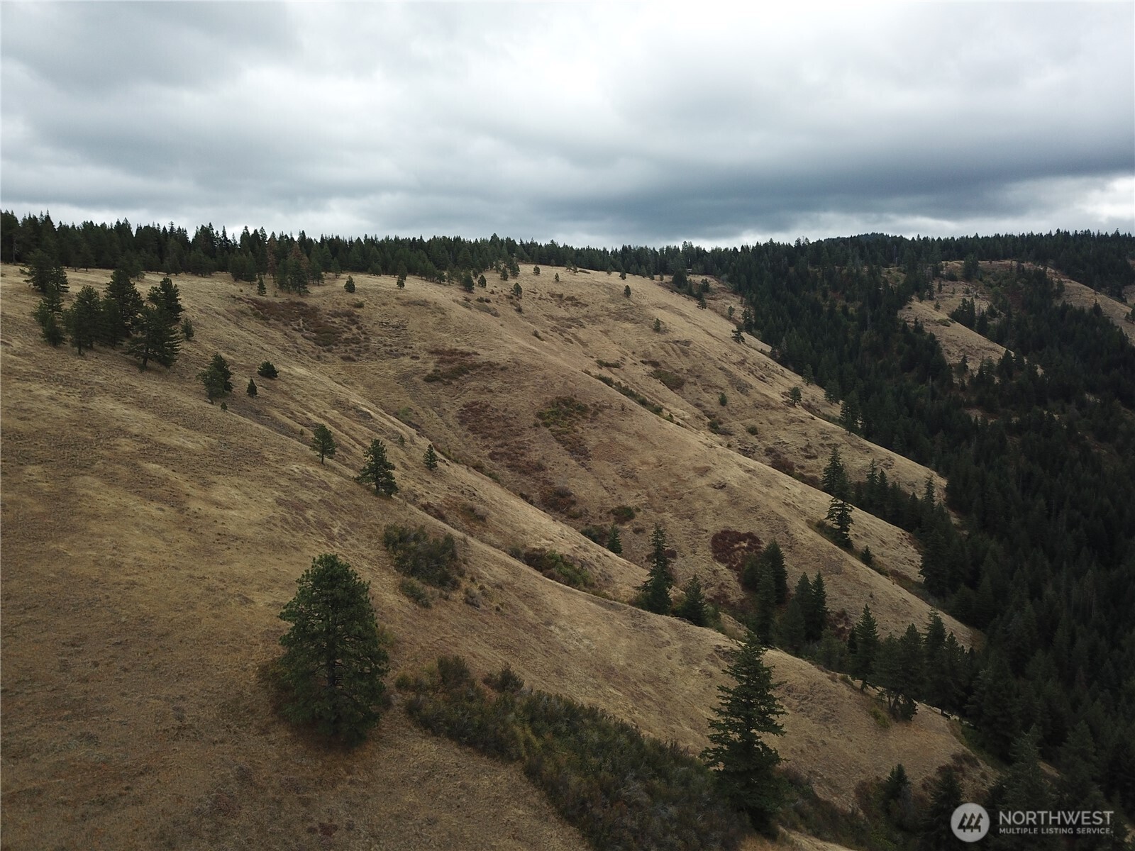 30 Acres Off Biscuit Ridge Waitsburg WA 99361
