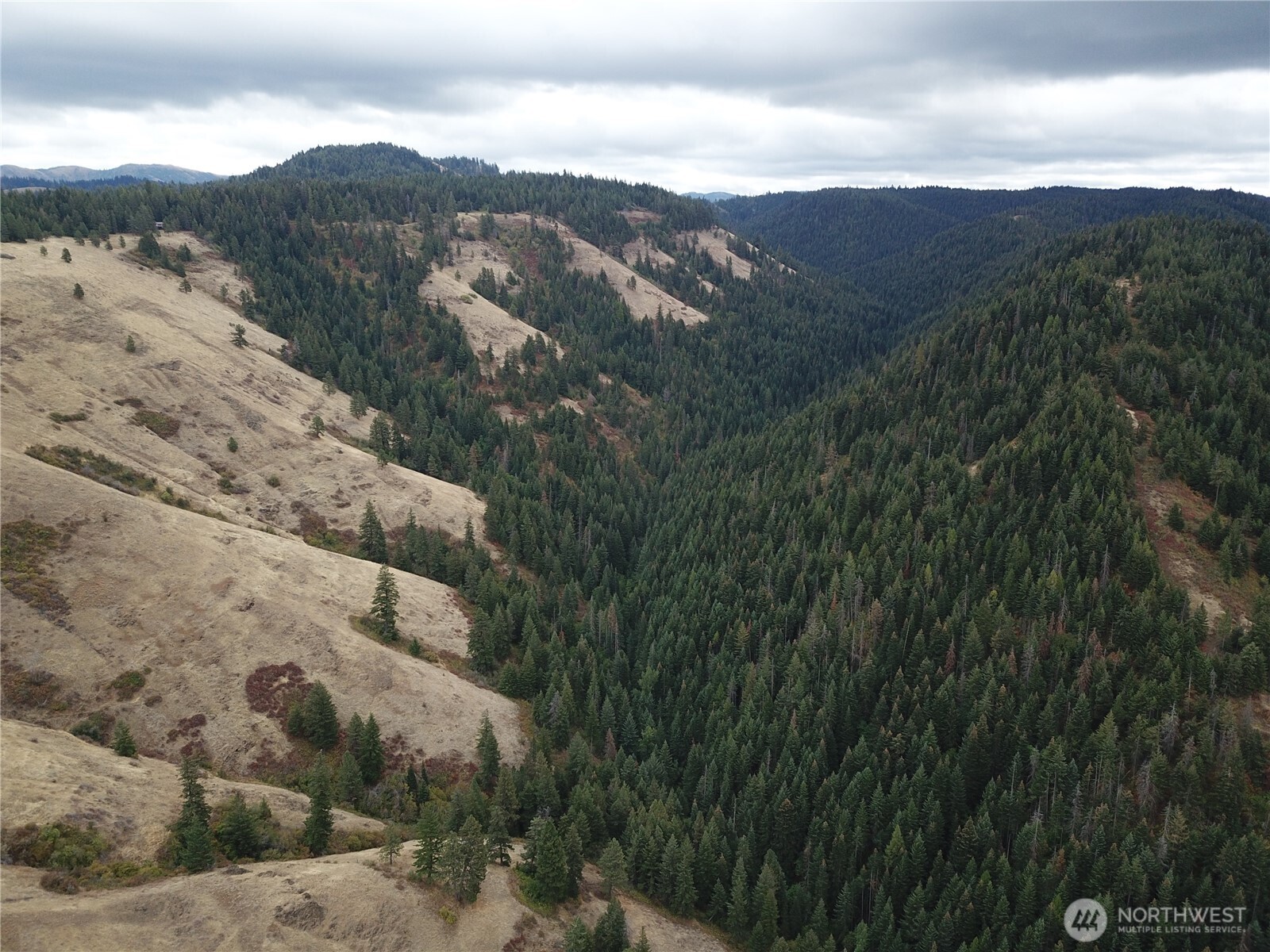 30 Acres Off Biscuit Ridge Waitsburg WA 99361