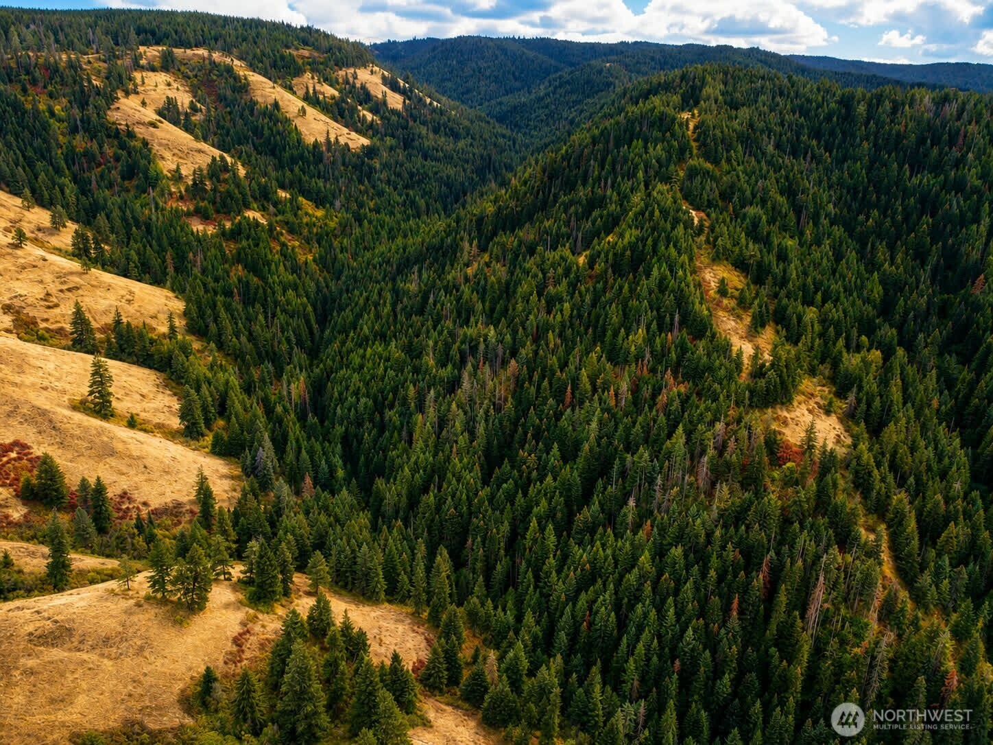 30 Acres Off Biscuit Ridge Waitsburg WA 99361
