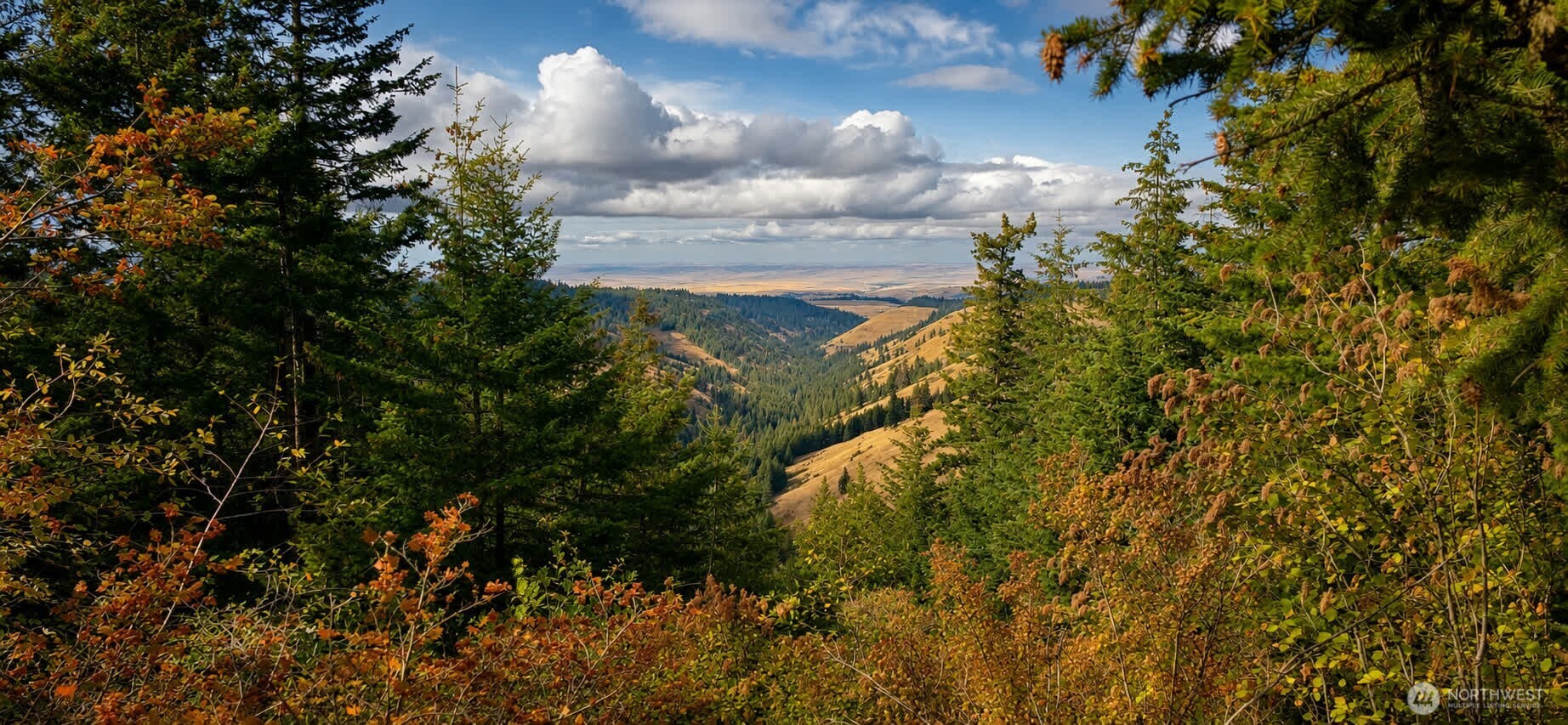 30 Acres Off Biscuit Ridge Waitsburg WA 99361