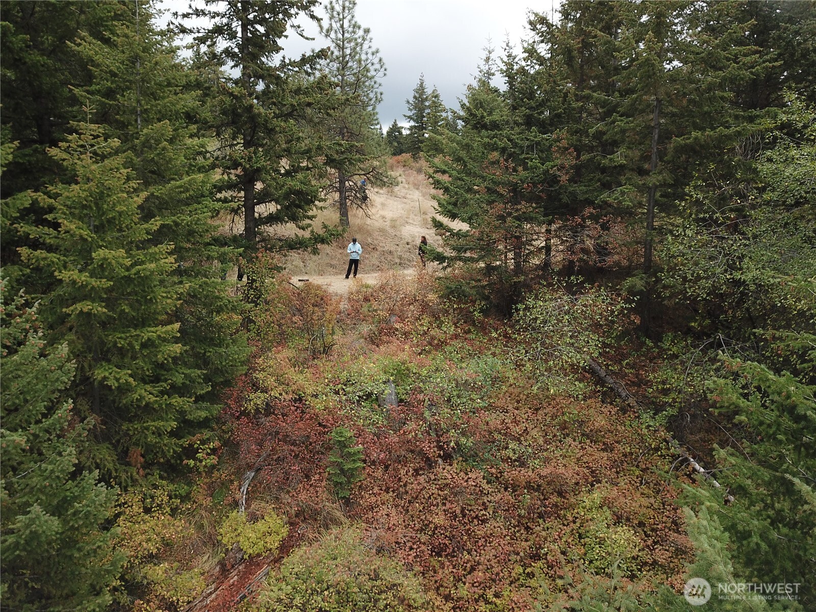 30 Acres Off Biscuit Ridge Waitsburg WA 99361