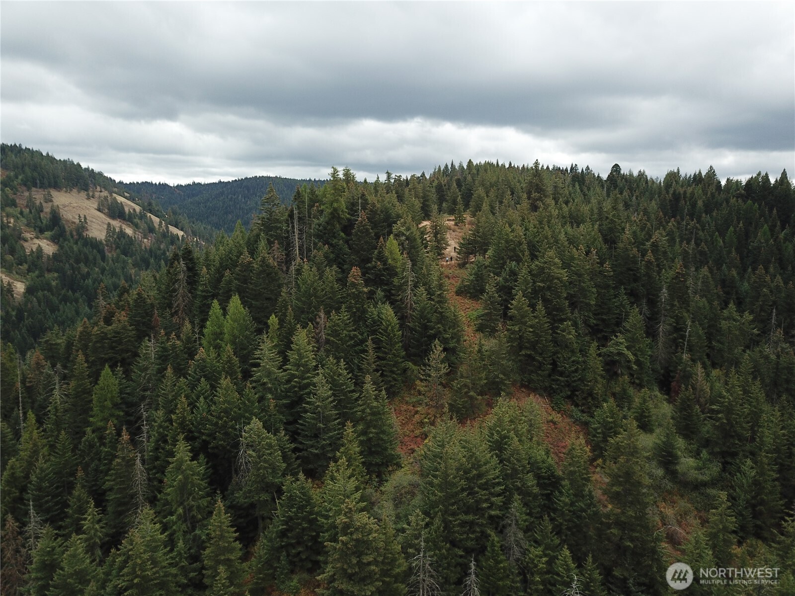 30 Acres Off Biscuit Ridge Waitsburg WA 99361