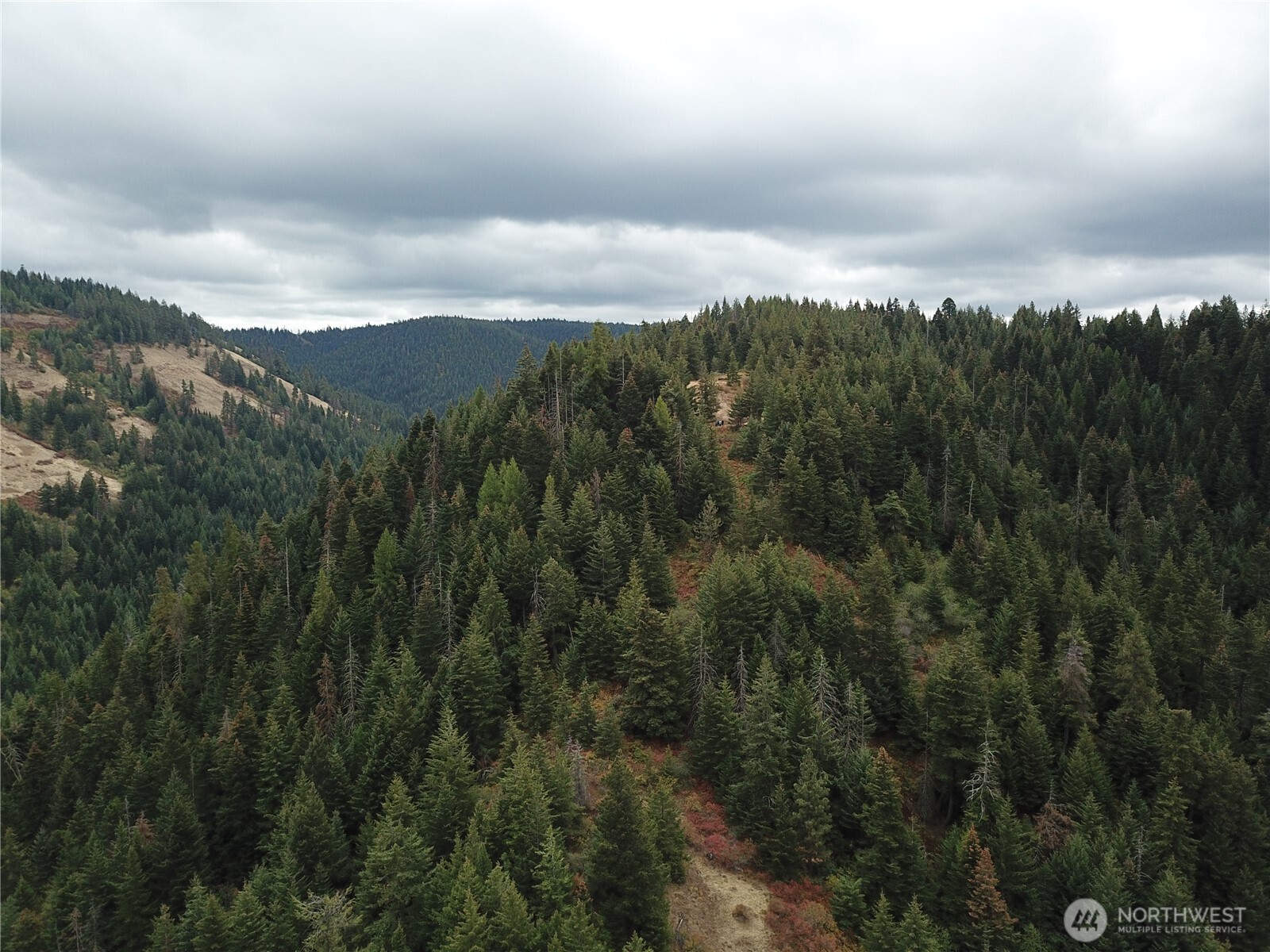 30 Acres Off Biscuit Ridge Waitsburg WA 99361