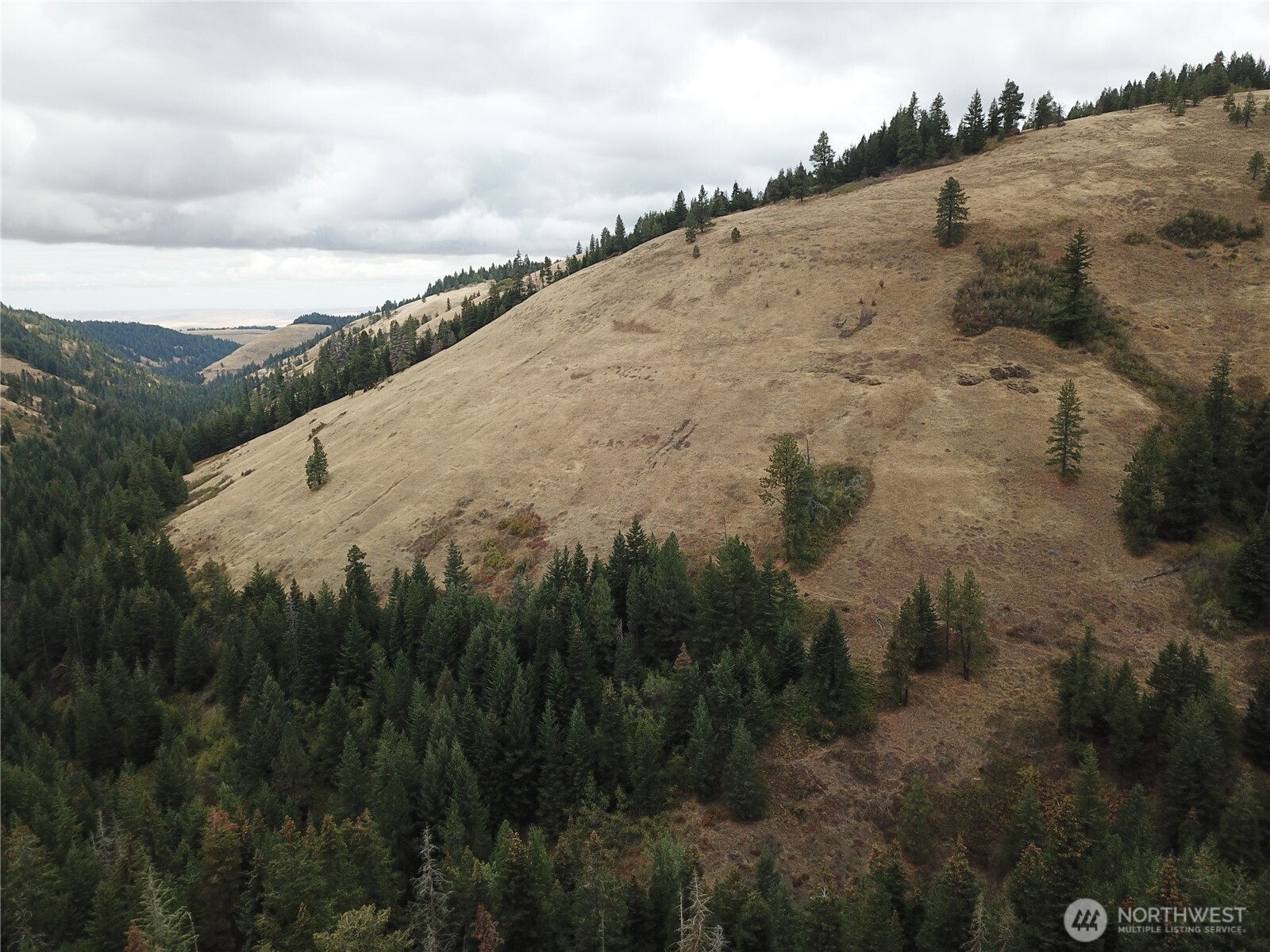 30 Acres Off Biscuit Ridge Waitsburg WA 99361