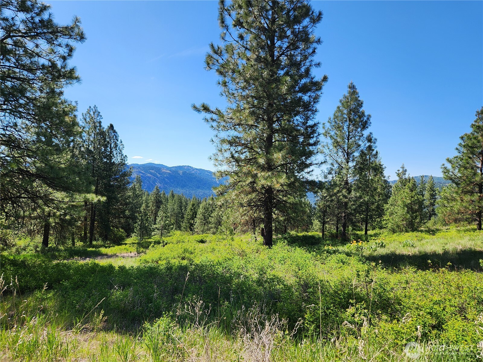 0 Gold Mountain Road Republic WA 99166