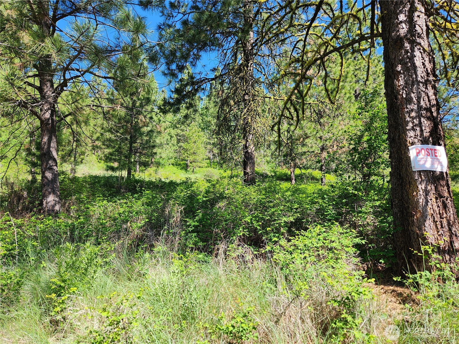0 Gold Mountain Road Republic WA 99166