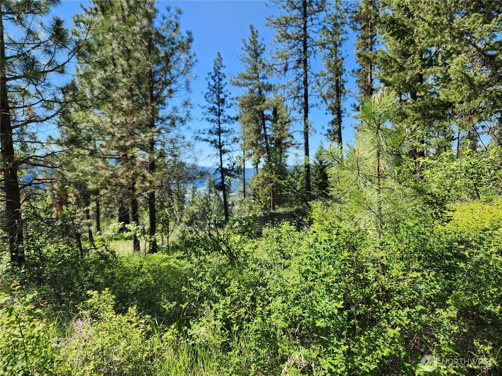 0 Gold Mountain Road Republic WA 99166