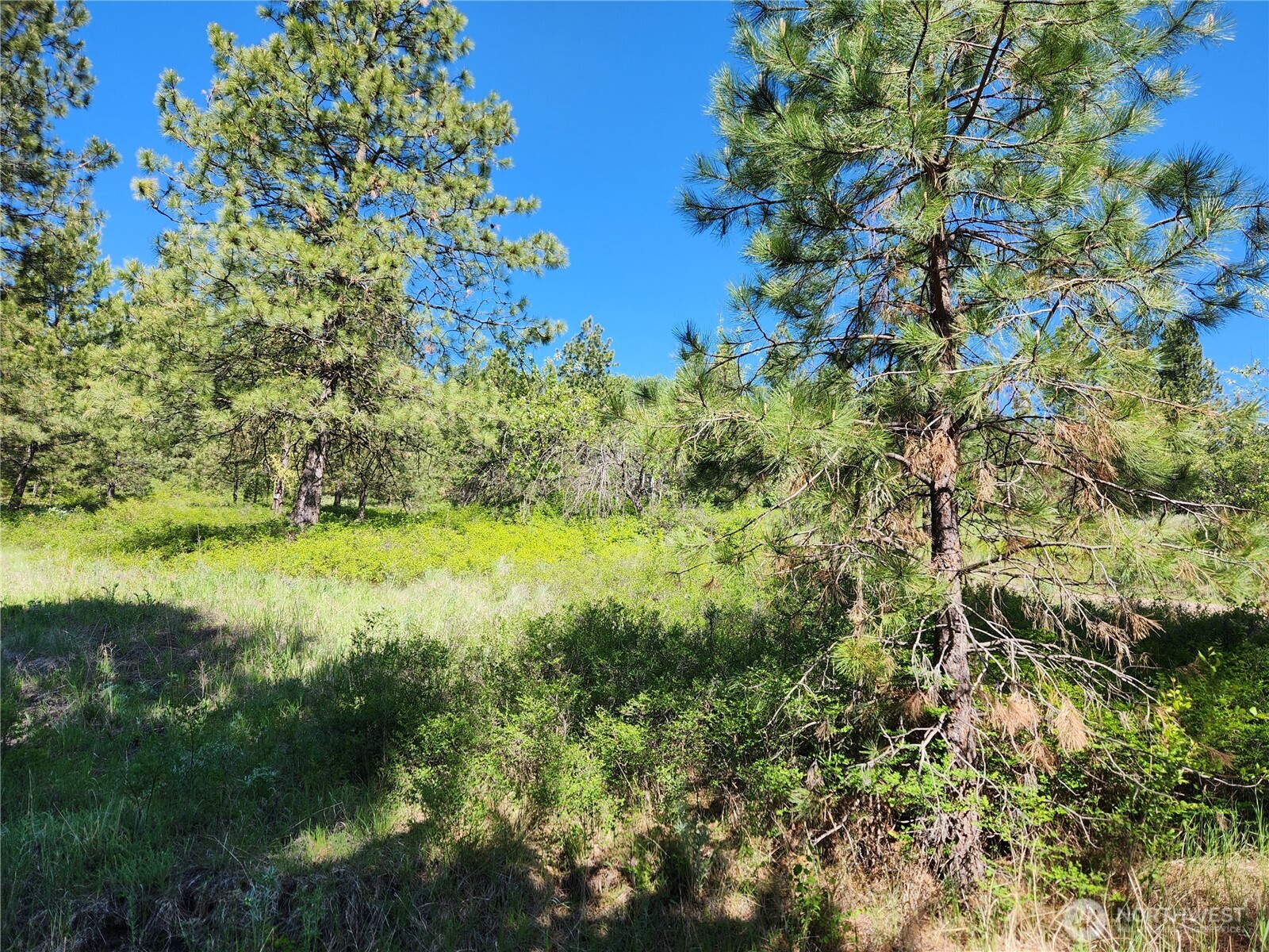 0 Gold Mountain Road Republic WA 99166
