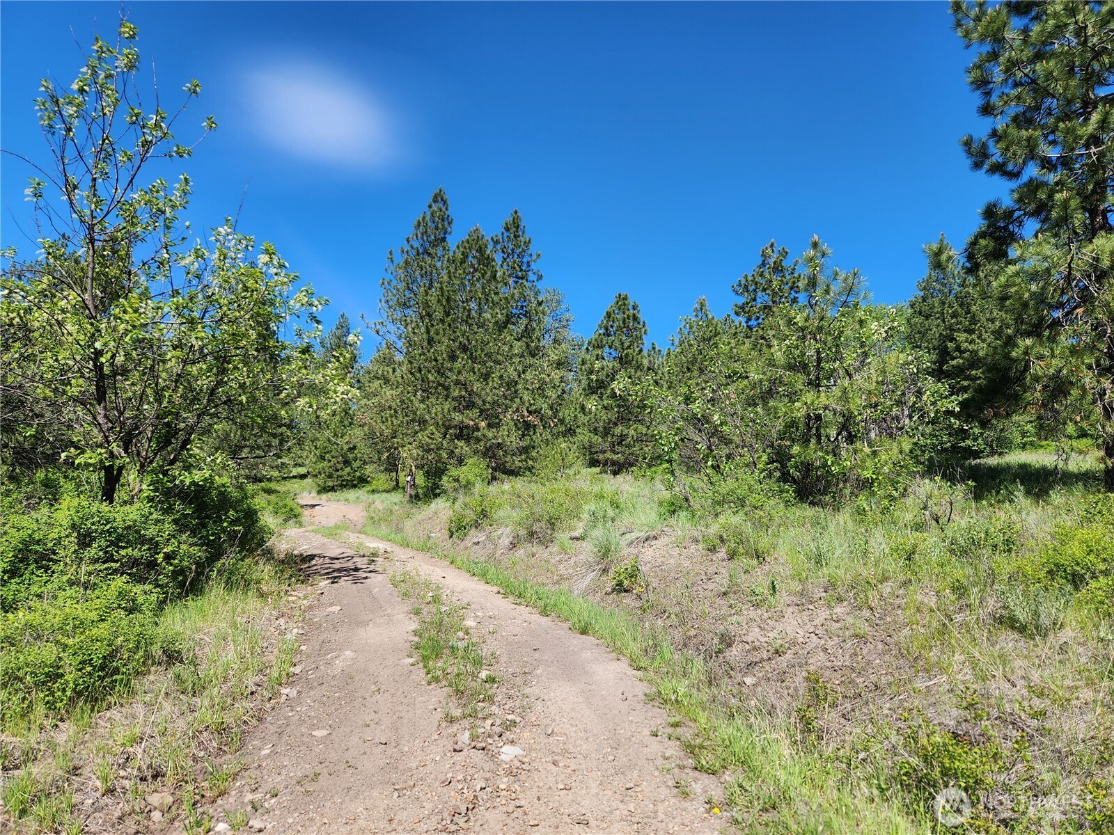 0 Gold Mountain Road Republic WA 99166