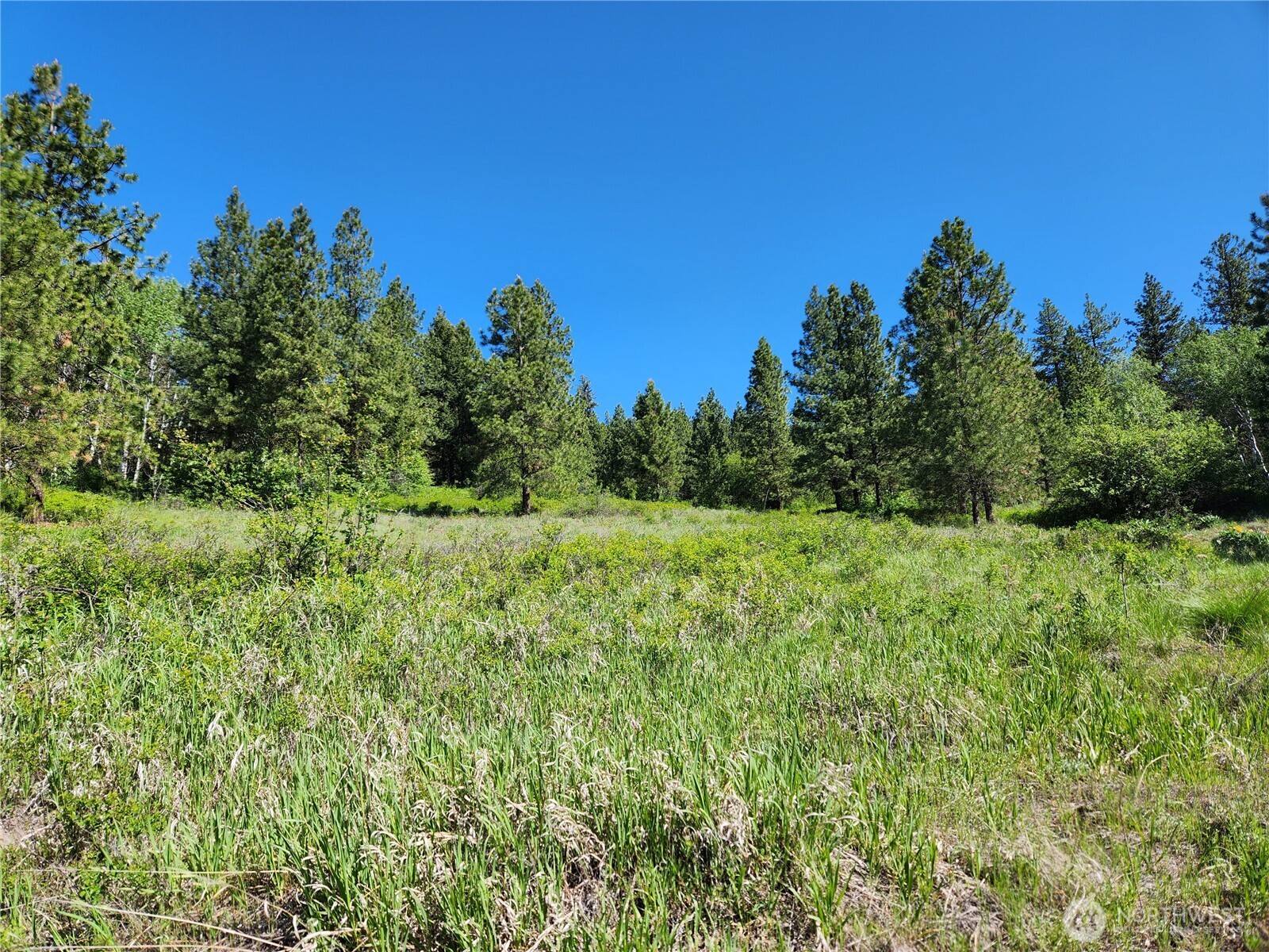 0 Gold Mountain Road Republic WA 99166