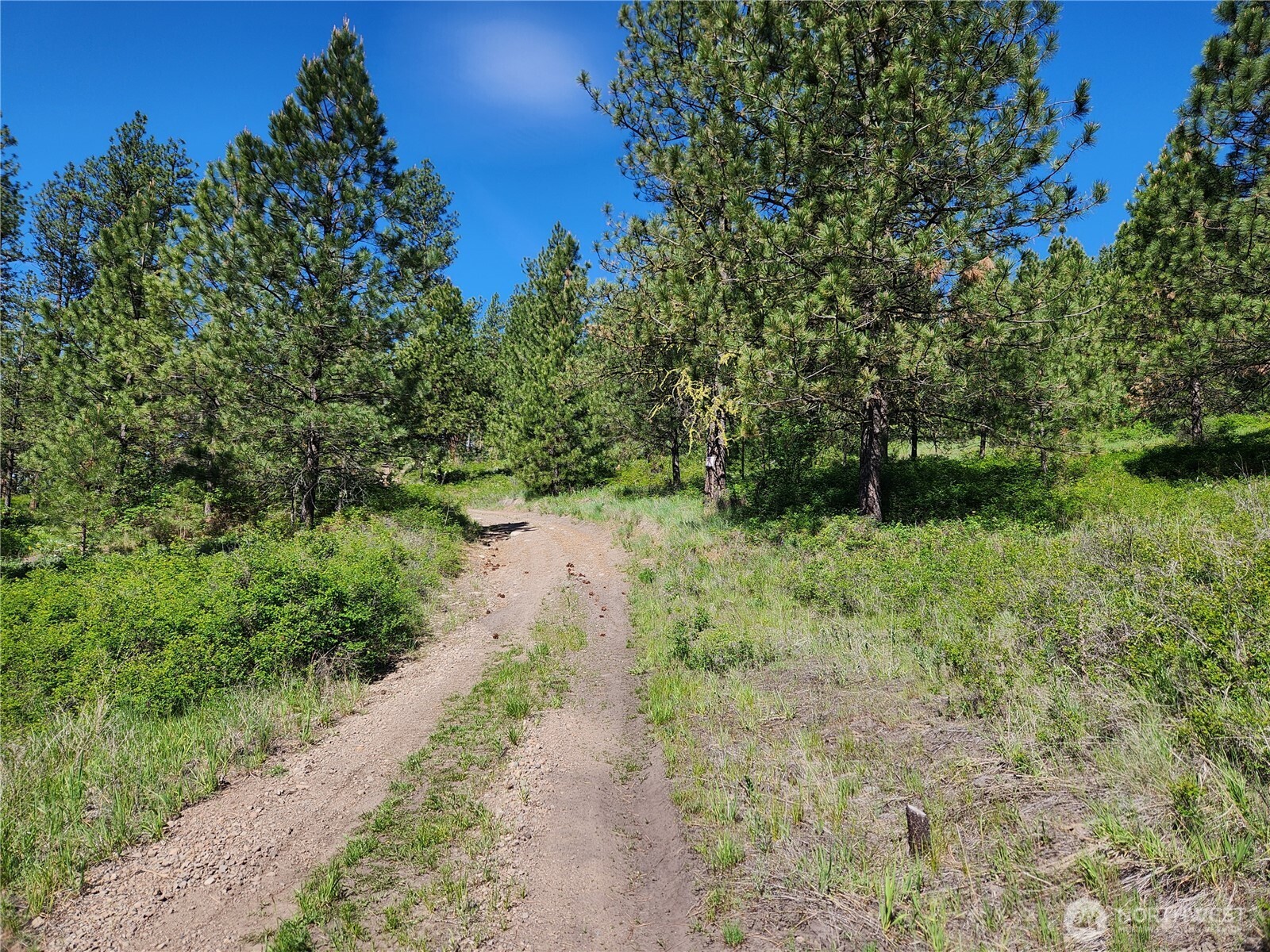 0 Gold Mountain Road Republic WA 99166