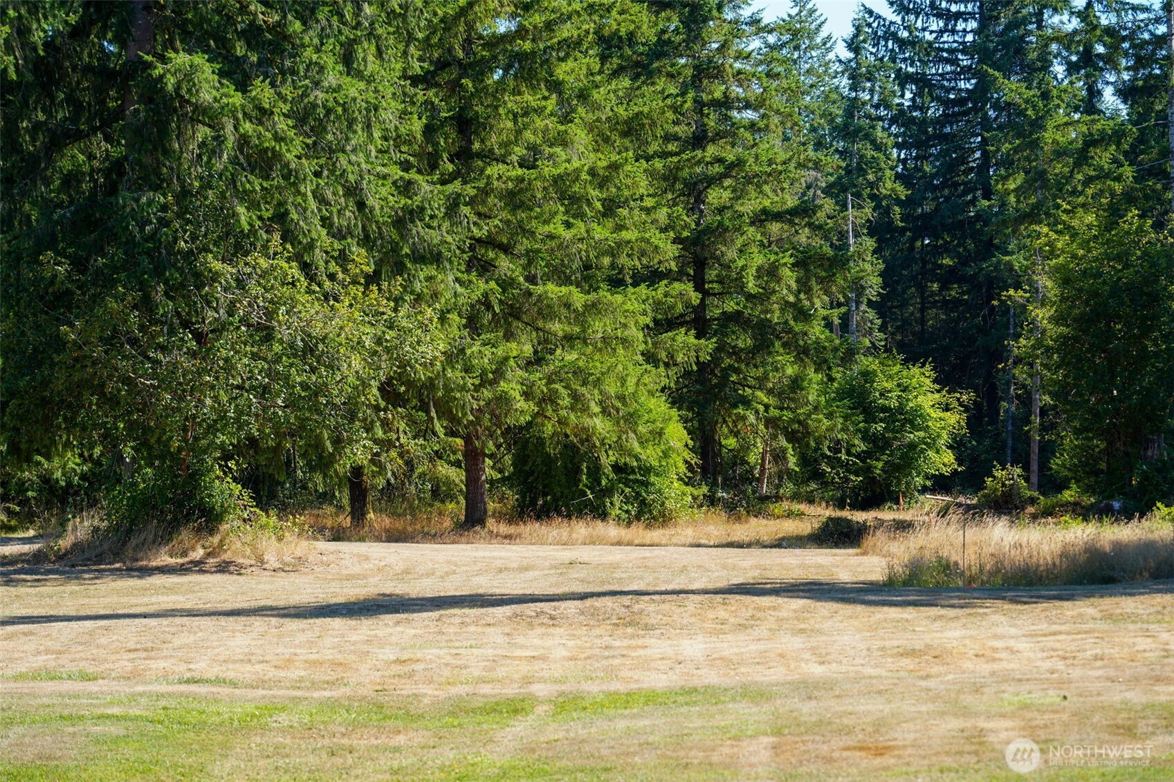 7123 115th Avenue SW Olympia WA 98512