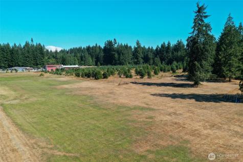 7123 115th Avenue SW Olympia WA 98512