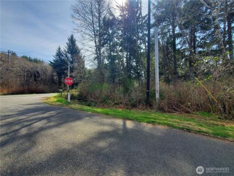 0 Sr 109 Copalis Beach WA 98535
