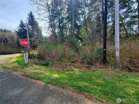 0 Sr 109 Copalis Beach WA 98535