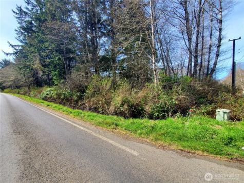 0 Sr 109 Copalis Beach WA 98535