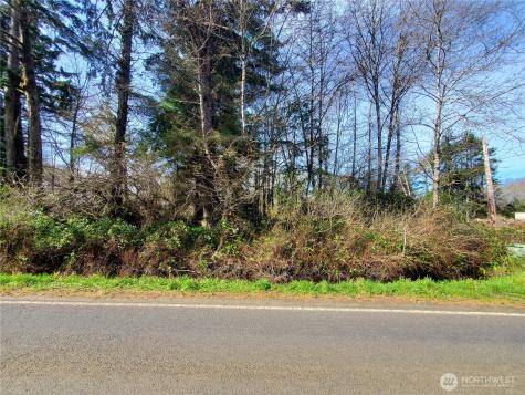 0 Sr 109 Copalis Beach WA 98535