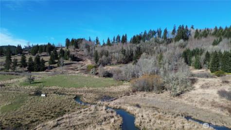 0 Lincoln Creek Road Rochester WA 98579