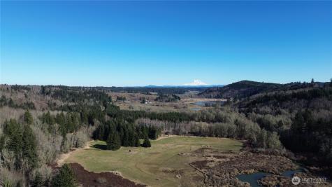 0 Lincoln Creek Road Rochester WA 98579