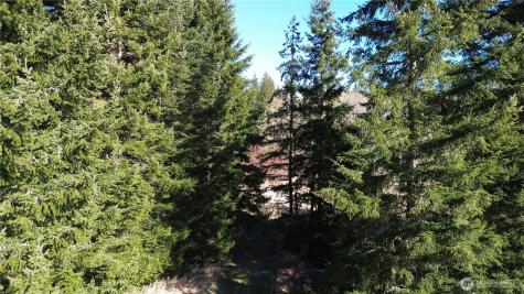 0 Lincoln Creek Road Rochester WA 98579