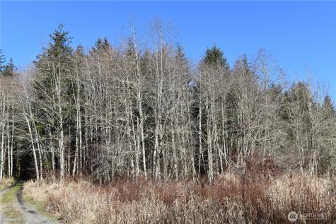 0 Lincoln Creek Road Rochester WA 98579