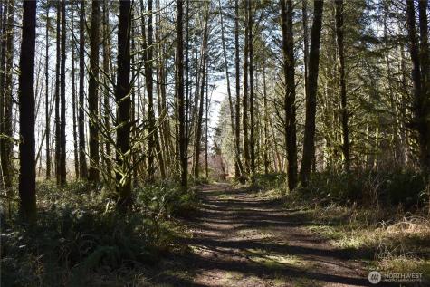 0 Lincoln Creek Road Rochester WA 98579