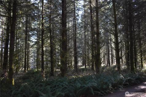 0 Lincoln Creek Road Rochester WA 98579