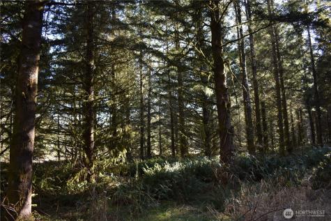 0 Lincoln Creek Road Rochester WA 98579