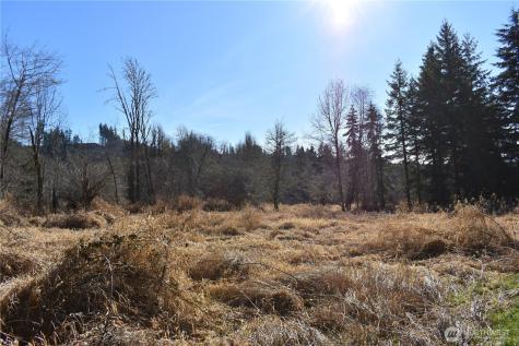 0 Lincoln Creek Road Rochester WA 98579