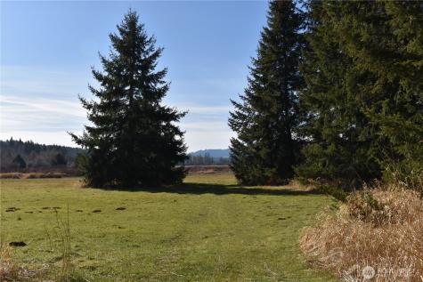 0 Lincoln Creek Road Rochester WA 98579