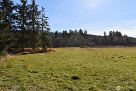 0 Lincoln Creek Road Rochester WA 98579