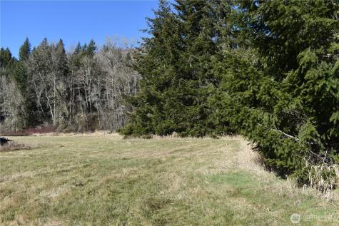 0 Lincoln Creek Road Rochester WA 98579