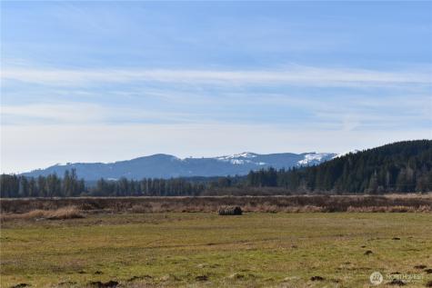 0 Lincoln Creek Road Rochester WA 98579
