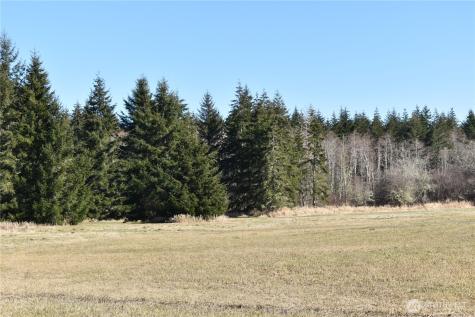0 Lincoln Creek Road Rochester WA 98579