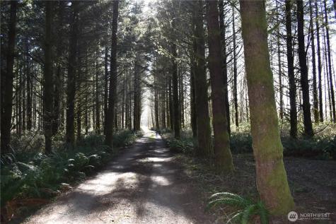 0 Lincoln Creek Road Rochester WA 98579