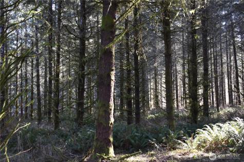0 Lincoln Creek Road Rochester WA 98579