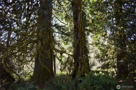 0 Lincoln Creek Road Rochester WA 98579