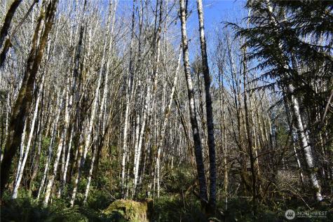 0 Lincoln Creek Road Rochester WA 98579