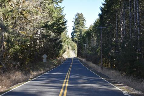 0 Lincoln Creek Road Rochester WA 98579